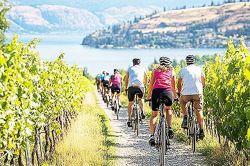 Bike Tours in Kelowna