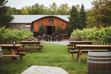Wine Tours in Ottawa