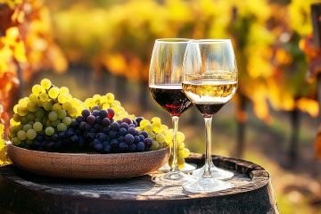 Wine Tours in Summerland