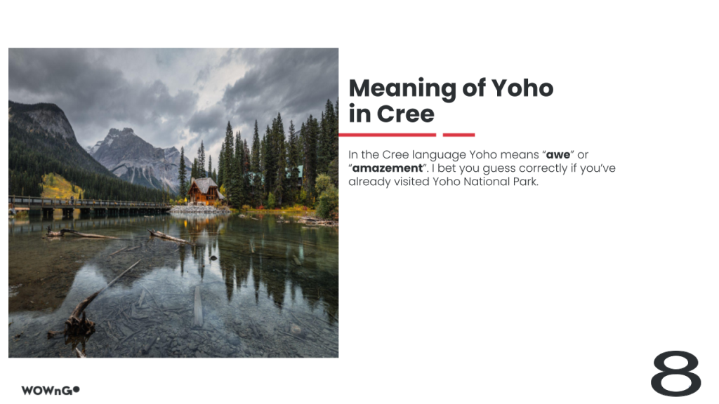 What does Yoho mean