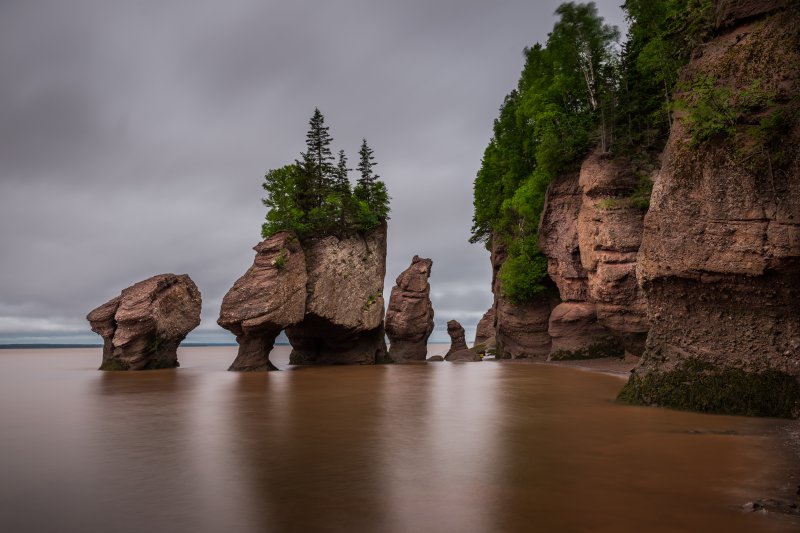 High Tide at Hopewell Rocks