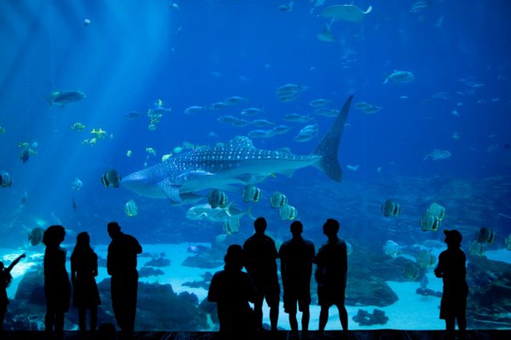 Tour in Aquarium on Mother's Day