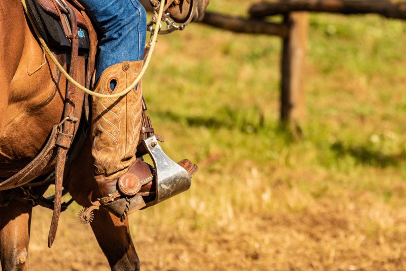 Calgary Stampede