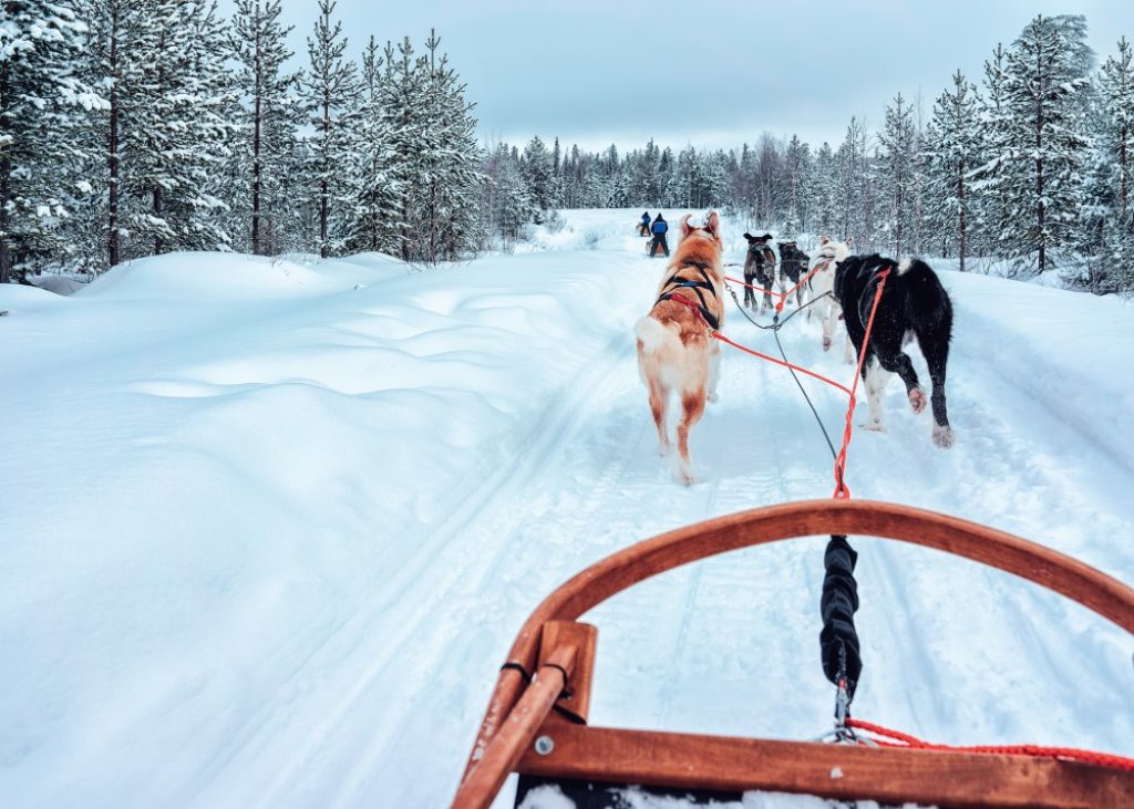 valentine's-day-date-idea-sledding