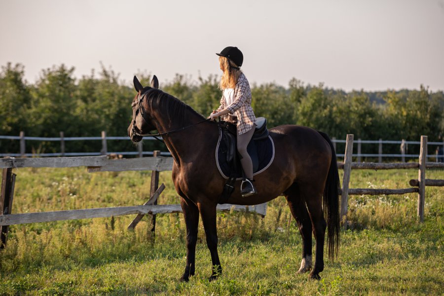 horse riding lesson for dad on Father's Day