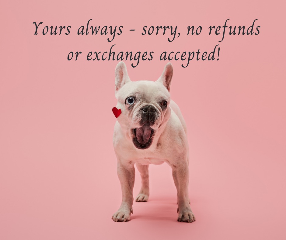 a caption saying Yours always- sorry, no refunds or exchanges accepted above a white-haired doggo with an opened mouth a a red heart on his right cheek