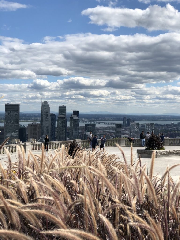 Things to do in Montreal