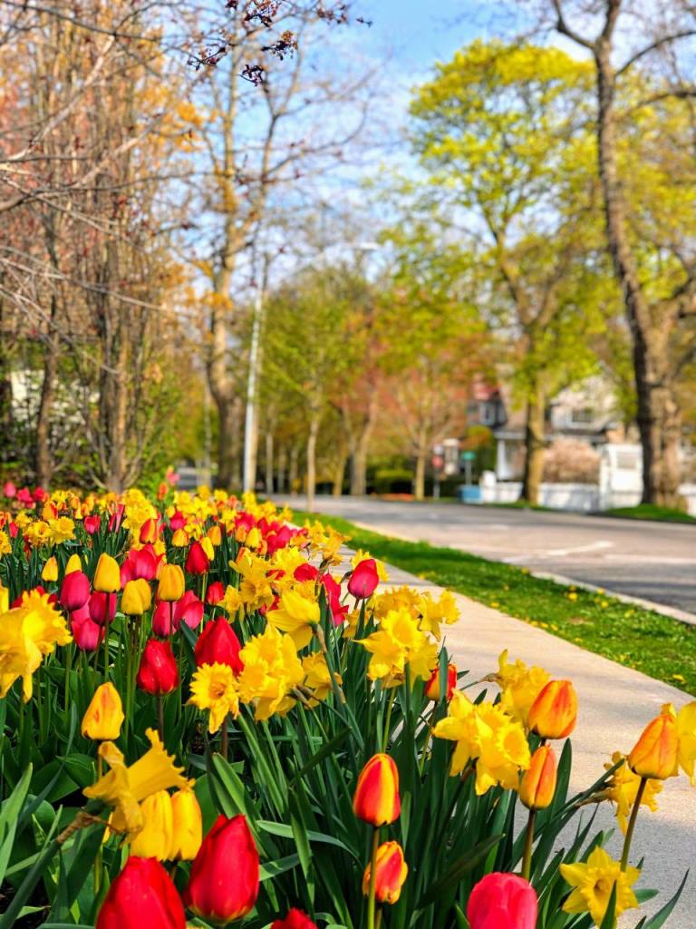 road trip to Niagara-on-the-Lake