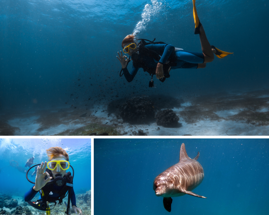 scuba diving lesson on Father's Day