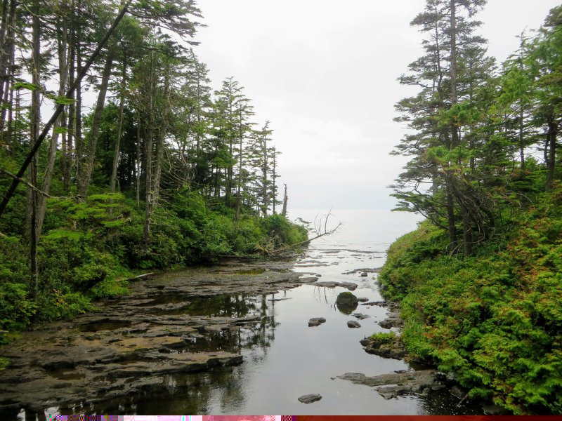 West Coast Trail in British Columbia