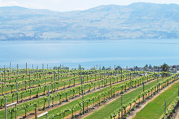 experience gifts Kelowna and Okanagan Valley